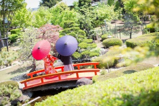 新緑が綺麗な季節になってきました♡