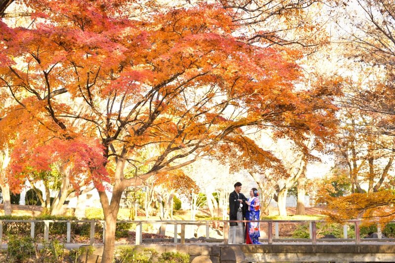 ~12月の撮影について~