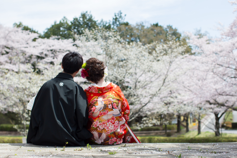 ～さくらシーズンご予約受付中✿～