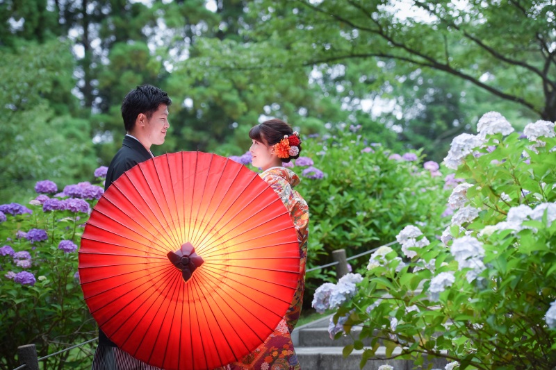 ～紫陽花シーズンの撮影～