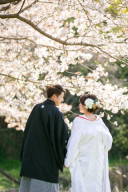 ロケーション撮影【桜シーズン3❀】