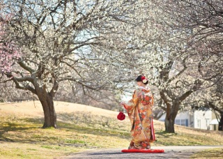華雅苑が選ばれる理由