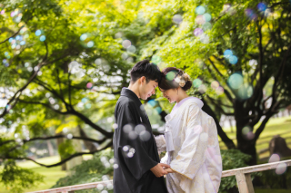 緑を取り入れた撮影《新緑》