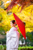 ＊ 紅葉：昨年12月初旬の撮影紹介➀ ＊