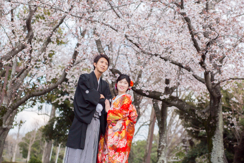 ～さくらフォト始まりました❀～