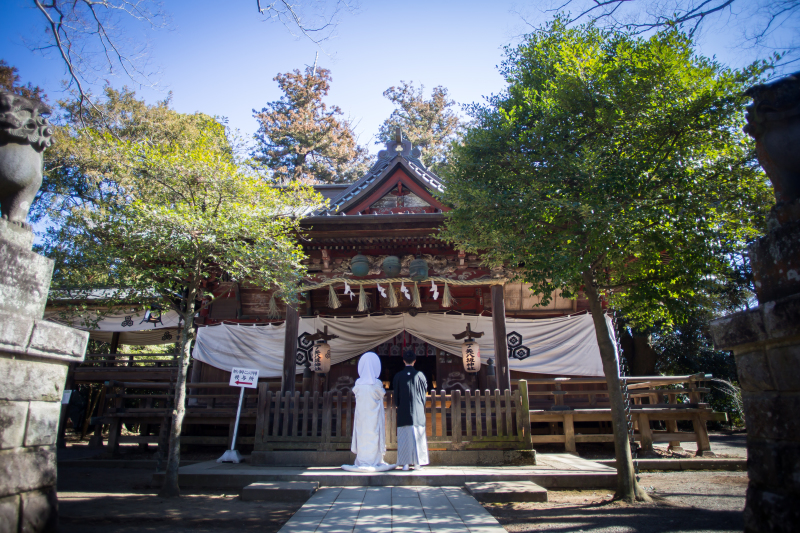 ～冬も緑はあります♪～