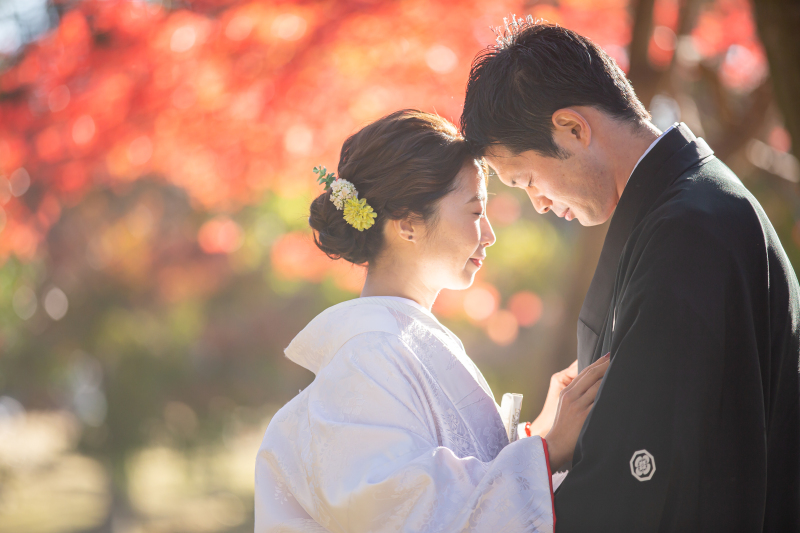 和装/ロケーション　紅葉フォトギャラリー更新