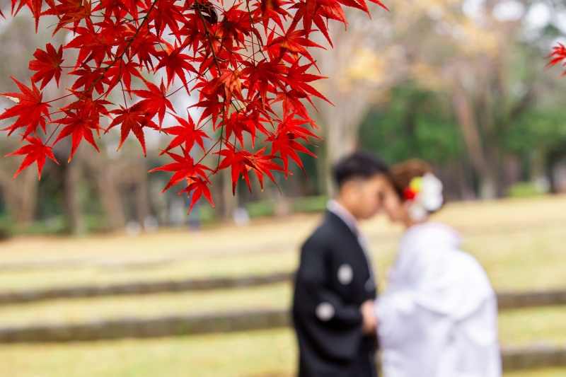 ~紅葉フォト特集♡~