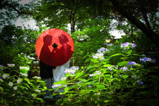 撮影レポート更新しました♪