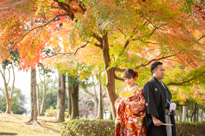 ＊ 紅葉：昨年12月初旬の撮影紹介➁ ＊