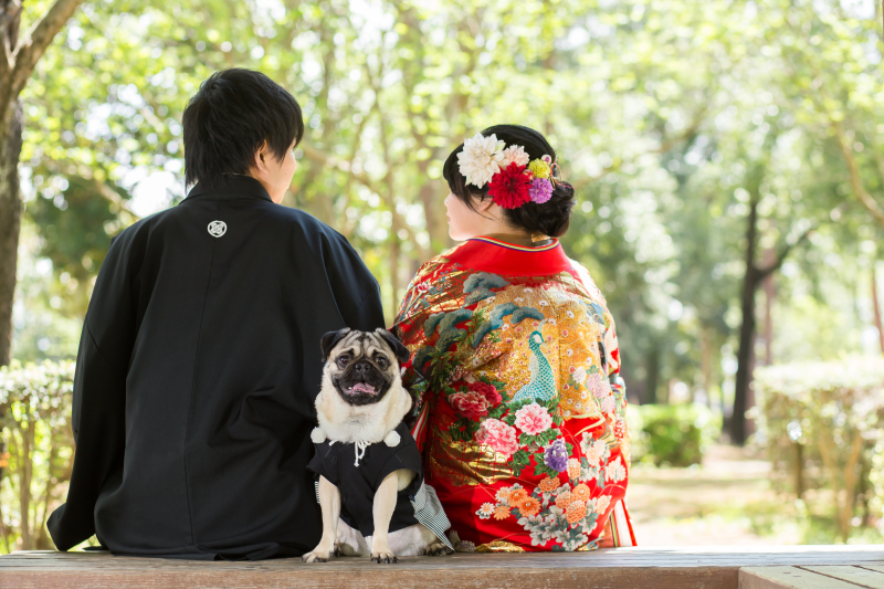 和装/ロケーション　公園フォトギャラリー更新
