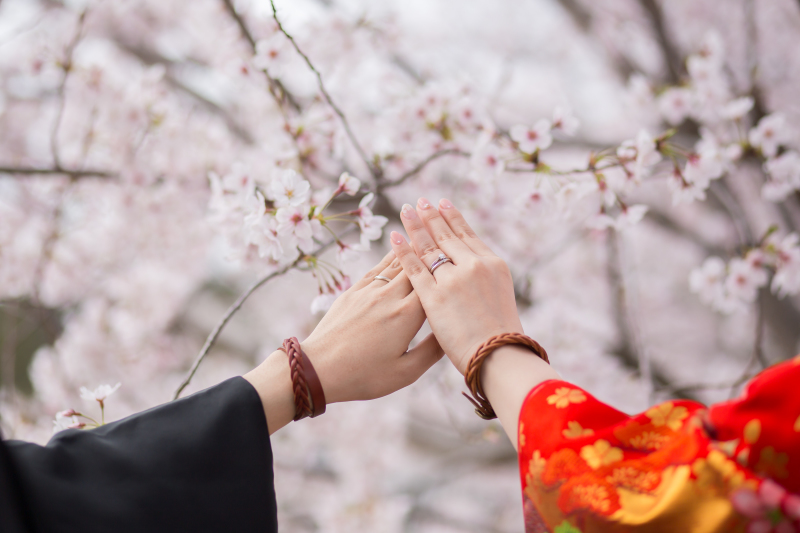 ～さくらフォト特集❀～