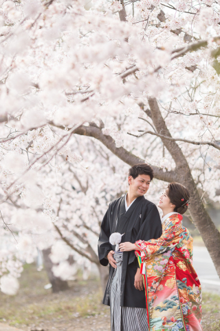 今年の桜の開花予想【桜シーズン】