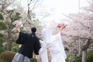 ~4月桜での撮影のお知らせ~