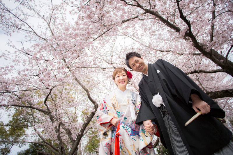 今年の桜シーズンphoto