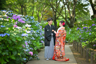 紫陽花ロケのお問い合わせが徐々に増えてまいりました