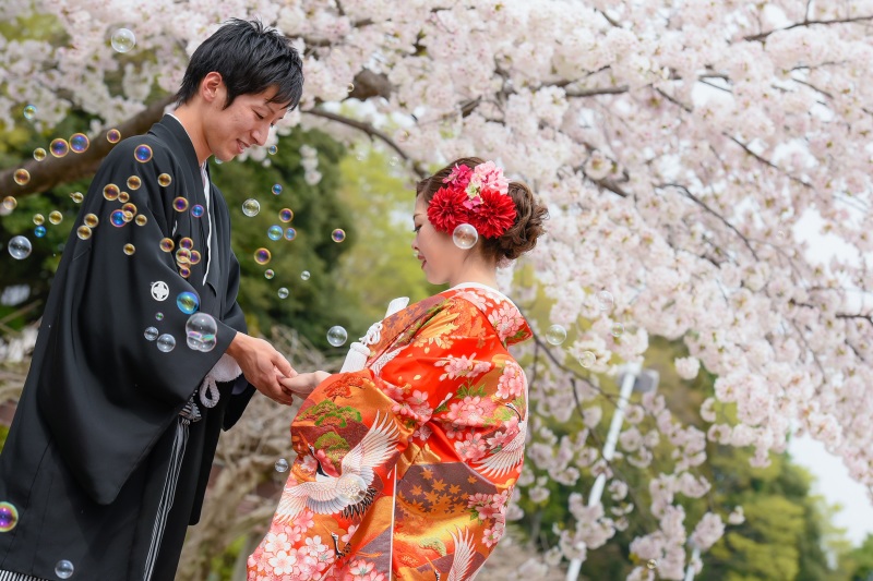 今年のさくらフォト❀