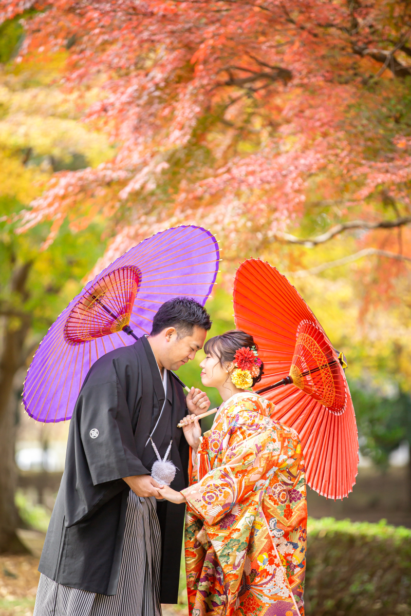 ＊ 紅葉：昨年12月初旬の撮影紹介➁ ＊