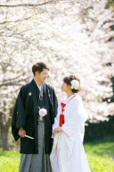 今年の桜の開花予想【桜シーズン②】