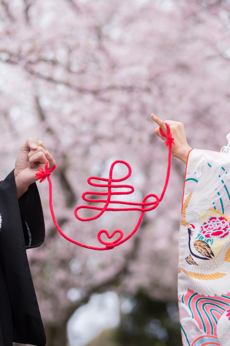 ＊ 赤い糸を使用した撮影カット ＊