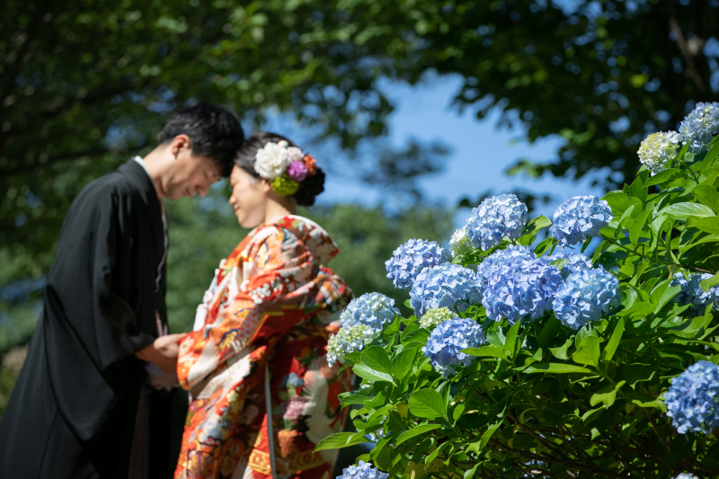 6月紫陽花シーズン