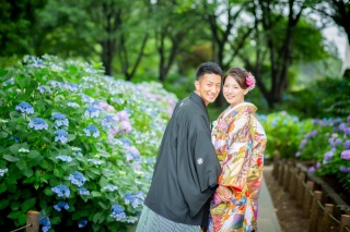 ～紫陽花フォト✾～