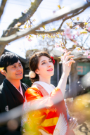 ～緑が増え始めてきました・・・！～