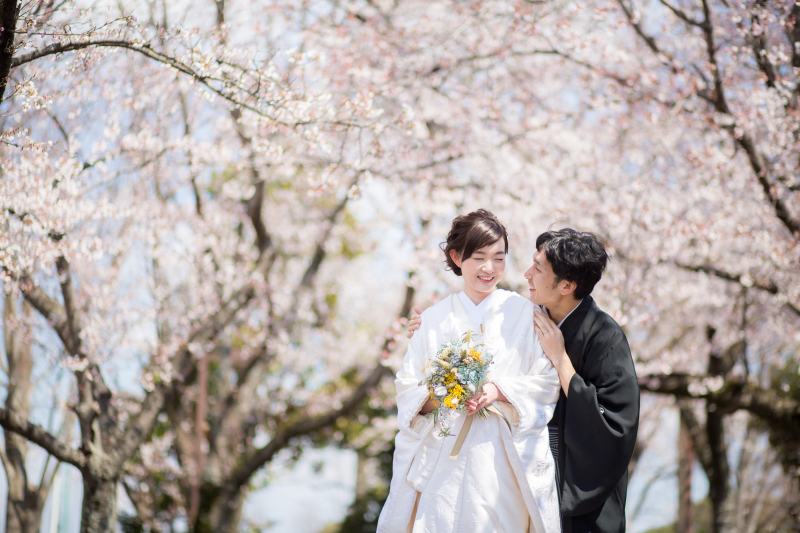 今年の桜シーズンphoto