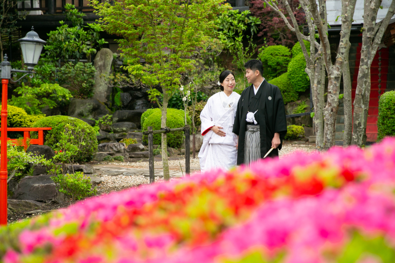 ～つつじが咲いてきました✾～
