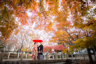 今シーズンの紅葉での撮影に関して