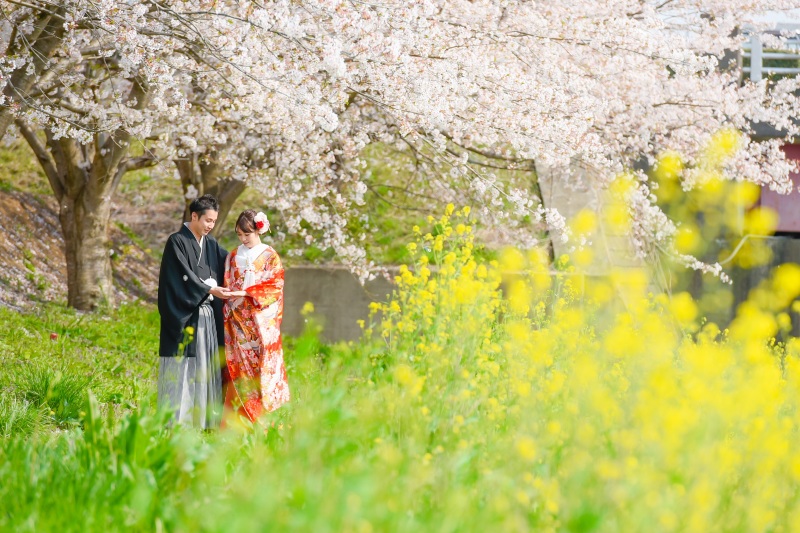 今年のさくらフォト❀