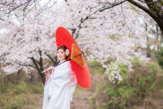 ロケーション撮影【桜シーズン2❀】