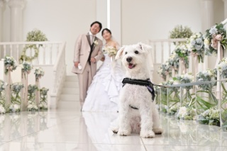 今月の相談会実施日【土日祝日】