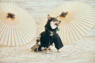 大切なご家族と一緒に*