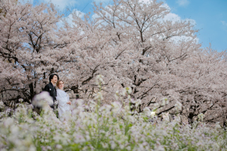 春の桜ロケーションフォトキャンペーン開催!ご予約はお早めに♪