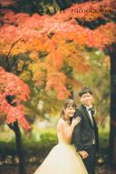 紅葉早割キャンペーン♪