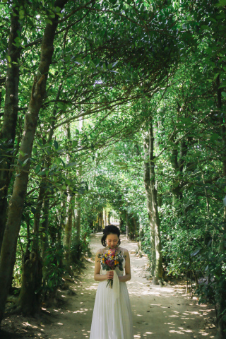 ＊オススメスポット 備瀬のフクギ並木＊