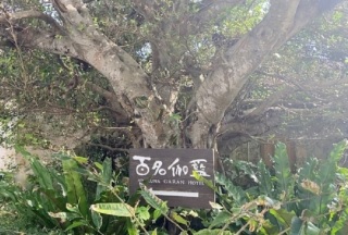 百名伽藍フォトウェディング