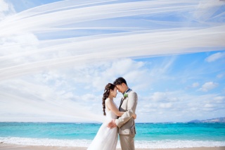 撮影小物★ロングベール