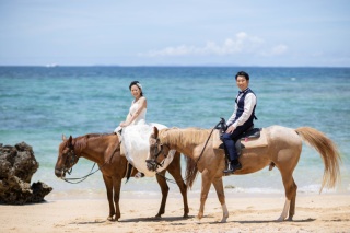 『ホースライド撮影』