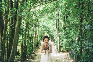 *備瀬のフクギ並木*