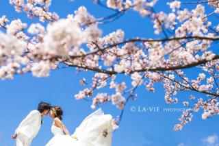 1/27(土)・２８(日)に春に向けての大相談会を開催します！