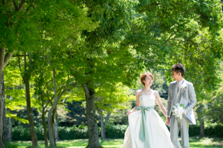 新緑フォトウエディング受付中!