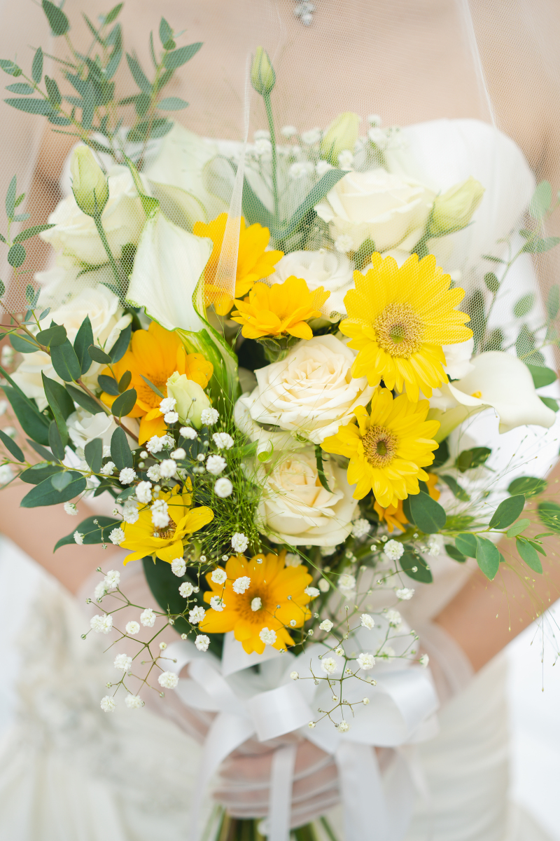 撮影アイテムについて