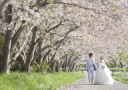 2024年【桜フォト】予約受付スタートしました！