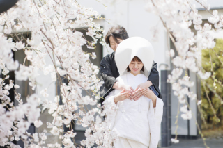 桜の時期を経て紫陽花や初夏の季節へ