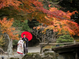 【期間限定★紅葉撮影】ご予約受付始まっています♪