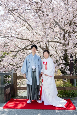 桜ロケーションフォト撮影ご予約受付スタートしております!