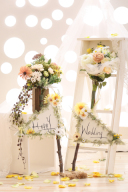 【期間限定企画】Daisy&Lacy Summer Wedding!!