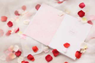 【期間限定企画】バレンタインウエディング♡